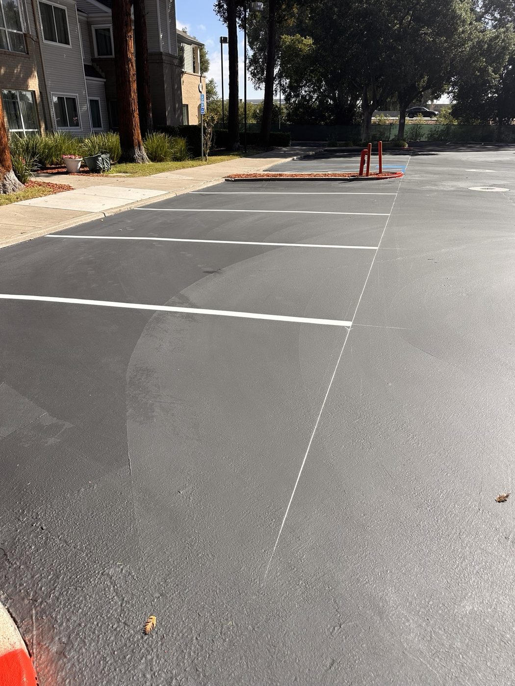 Fresh parking lot striping